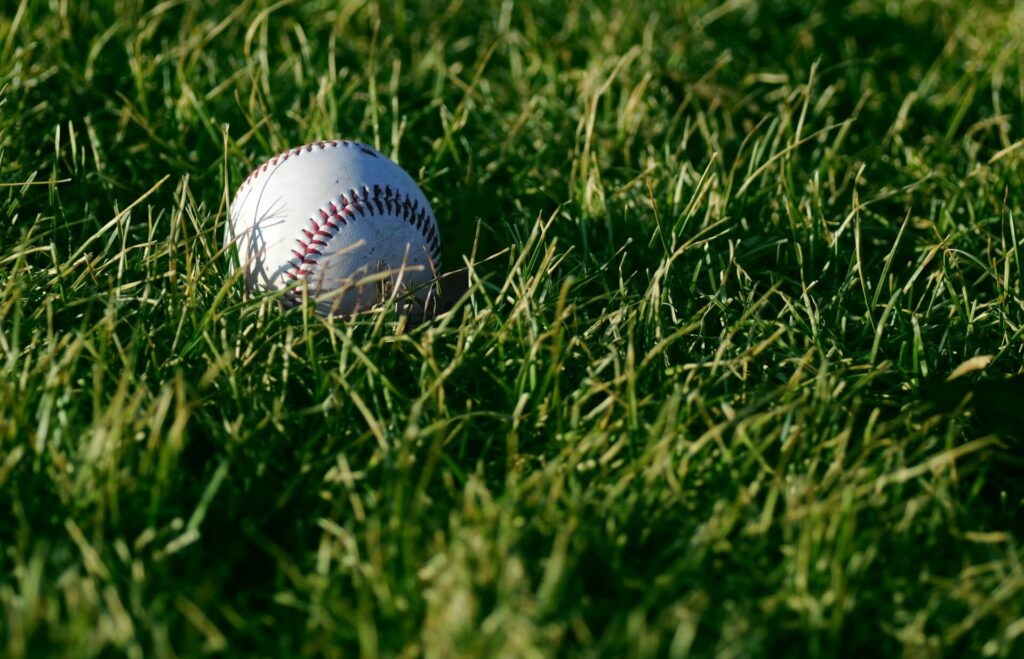 White baseball rests on the outfield's growing grass.