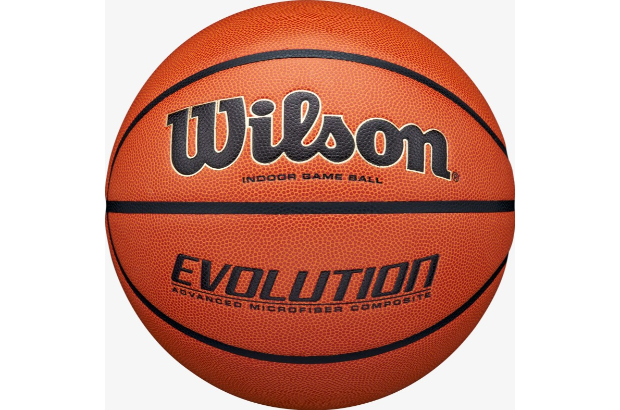 10. Wilson Evolution Game Basketball