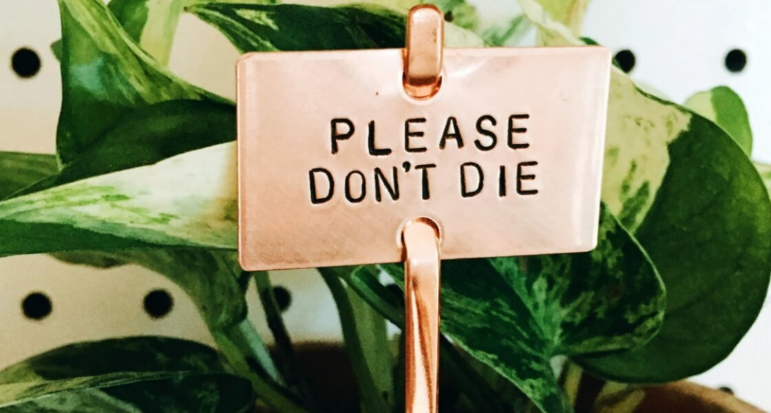 Sign in plant that says, "Please Don't Die."