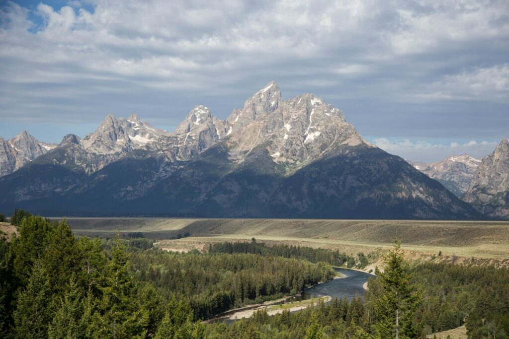 Green trees near the mountains at Grand Teton National Park