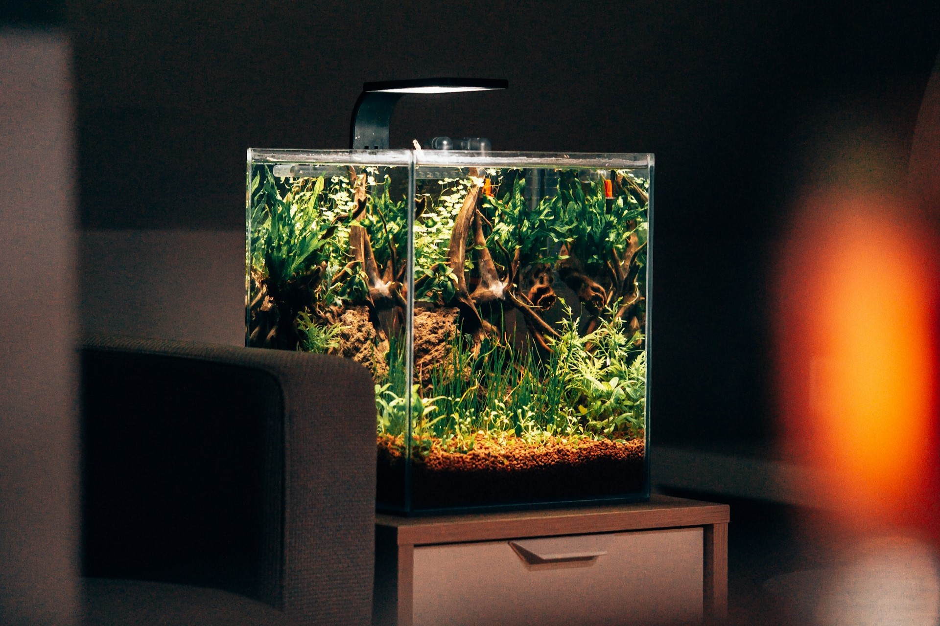 A fish tank.